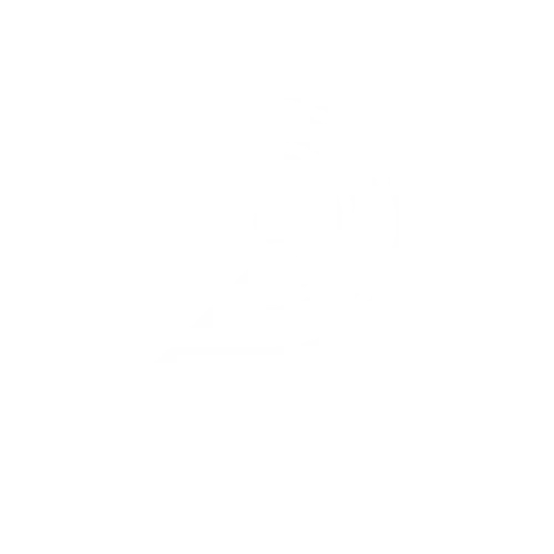 DIGIWIZZ CORP Logo White